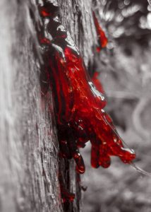 bleeding_tree_by_the_last_clairvoyant-d3b524u